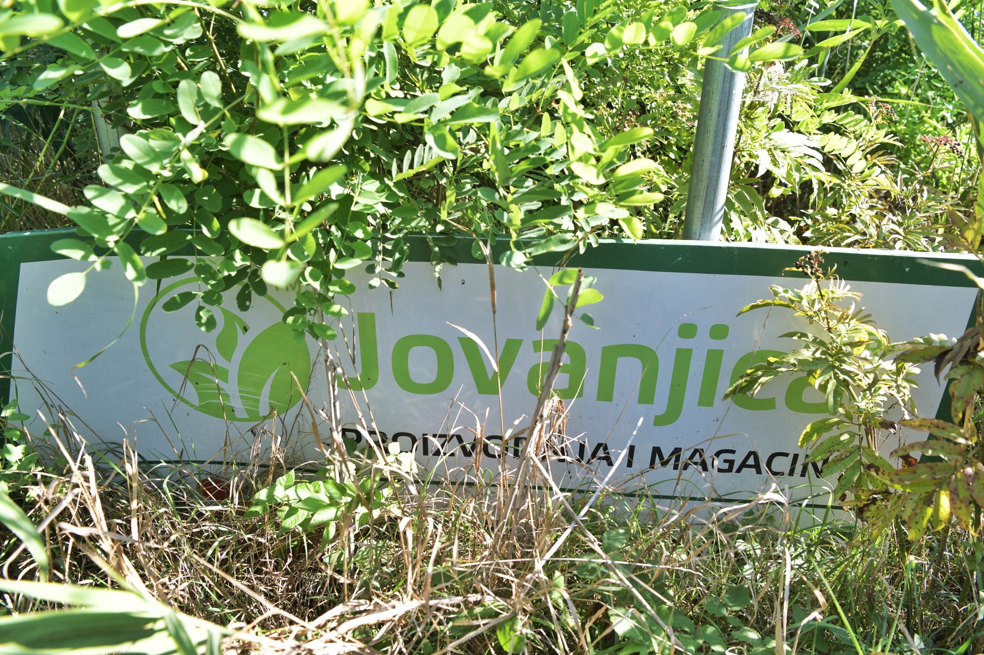 Jovanjica foto Goran Srdanov nova rs 2