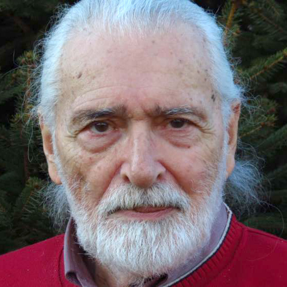 Ljubomir Anđelković