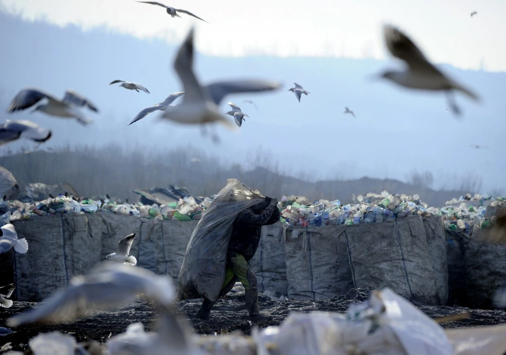 Milion dolara za odnošenje otpada 2 07deponija vinca 280116 foto vesna lalic048 scaled 1