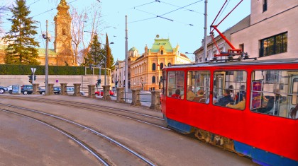 shutterstock poludziber 1213066915 copy