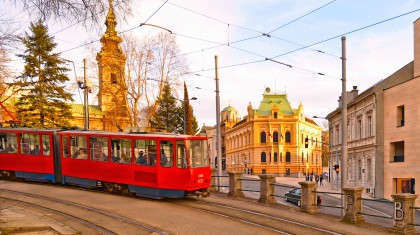 shutterstock poludziber 1186861621 copy