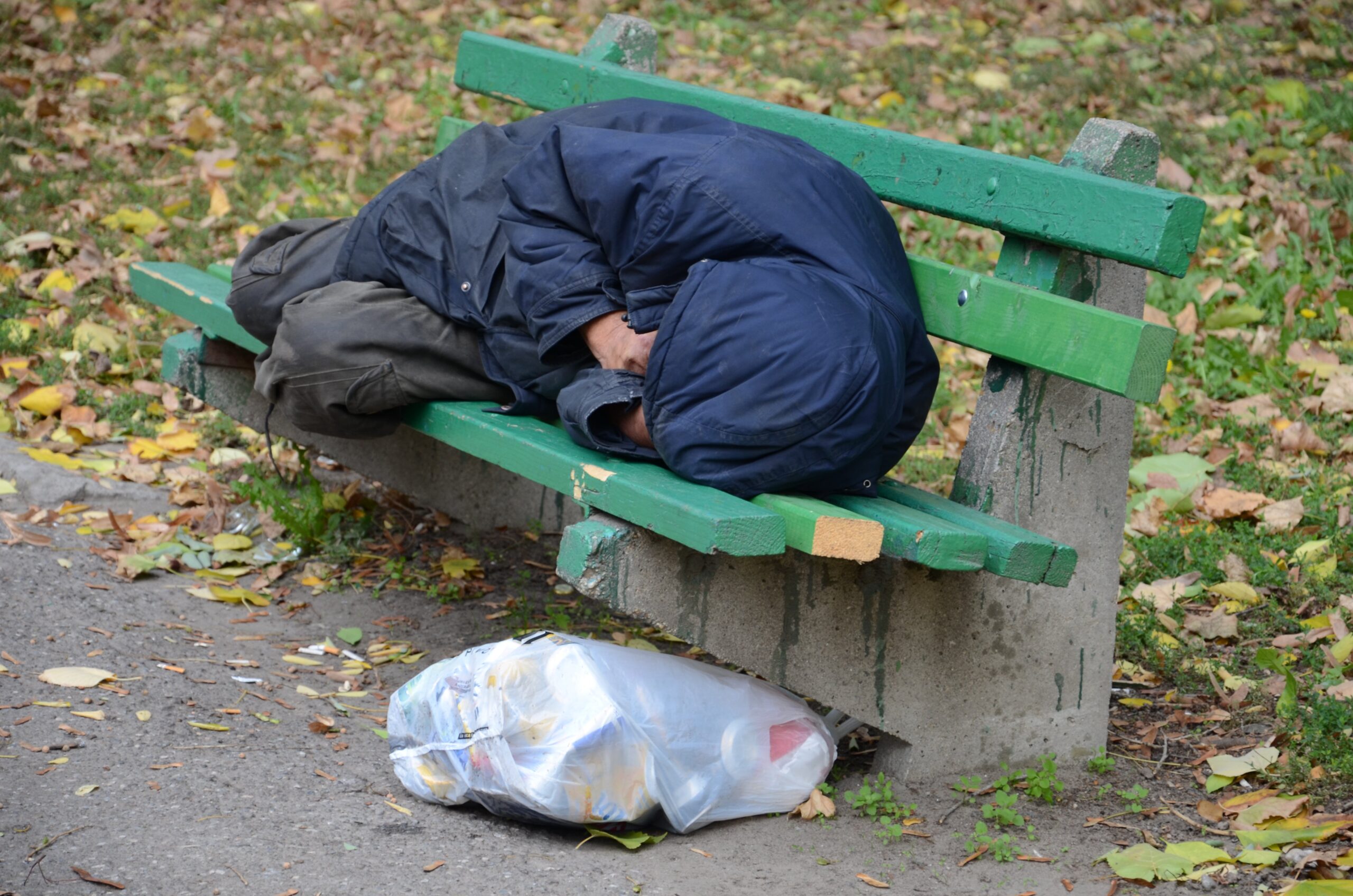 siromastvo foto tamara markovic nova rs