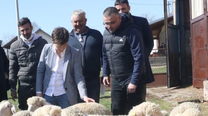 Nedimovic Brnabic VLADA REPUBLIKE SRBIJE SLOBODAN MILJEVIC copy a