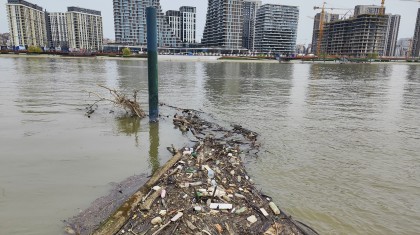 Sava foto vesna lalic nova rs 3 copy