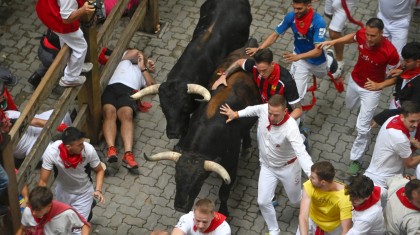 profimedia 0888419730