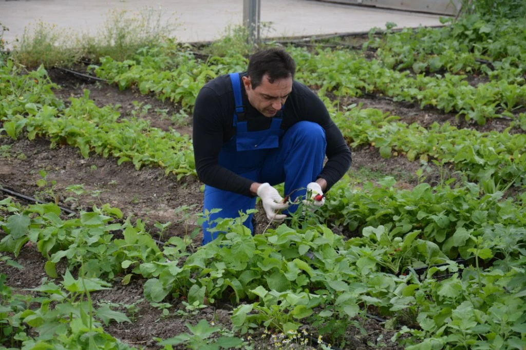 Отворен Балкан, отворени и путеви дроге 3 vulin jovanjica Foto Printscreen minrzs.gov .rs