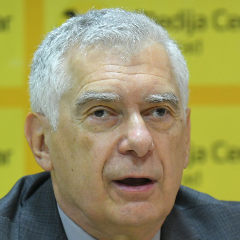 Nenad M. Kostić