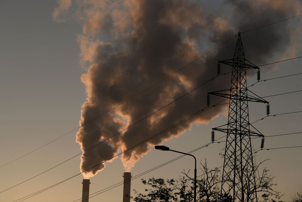 FIL 6011 01 scaled 1