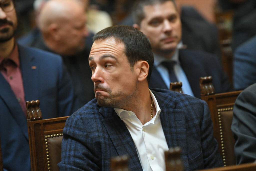 Sigurna kuća za kompromitovane kadrove - slučaj Novaka Nedića 2 komemoracija palma 25112024 0061