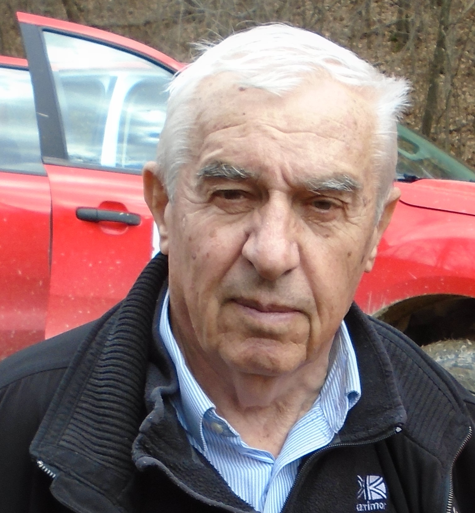 Velizar Stanković