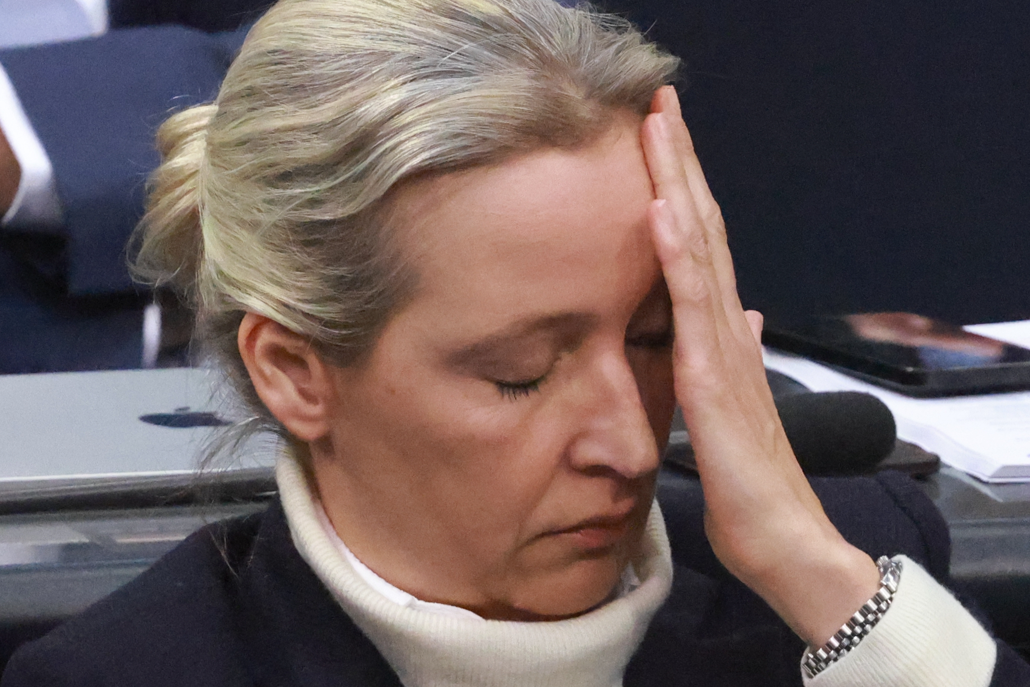 Flertovanje sa nacizmom 1 12782914