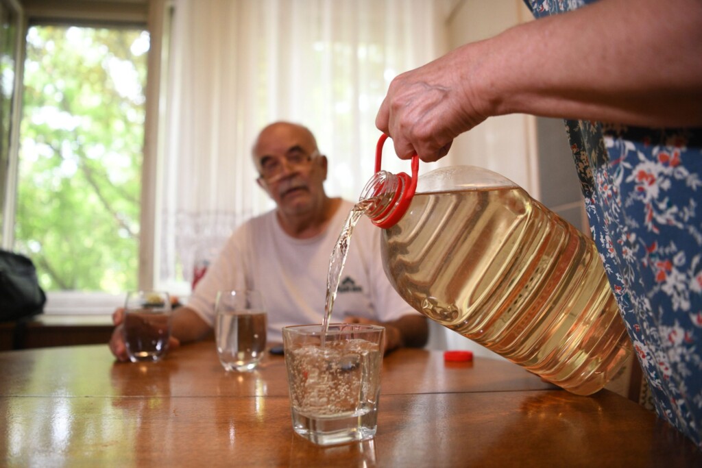 Svašta se rodi u mutnoj zrenjaninskoj vodi