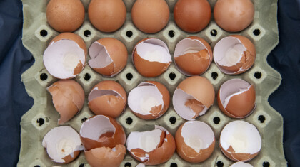 Nis protest Foto Vladislav Mitic Nova rs 75 1