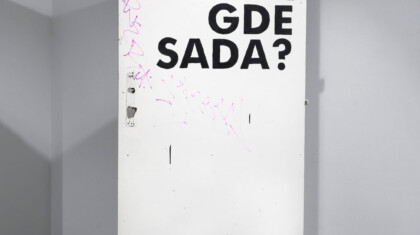 nemanja nikolic a gde sada