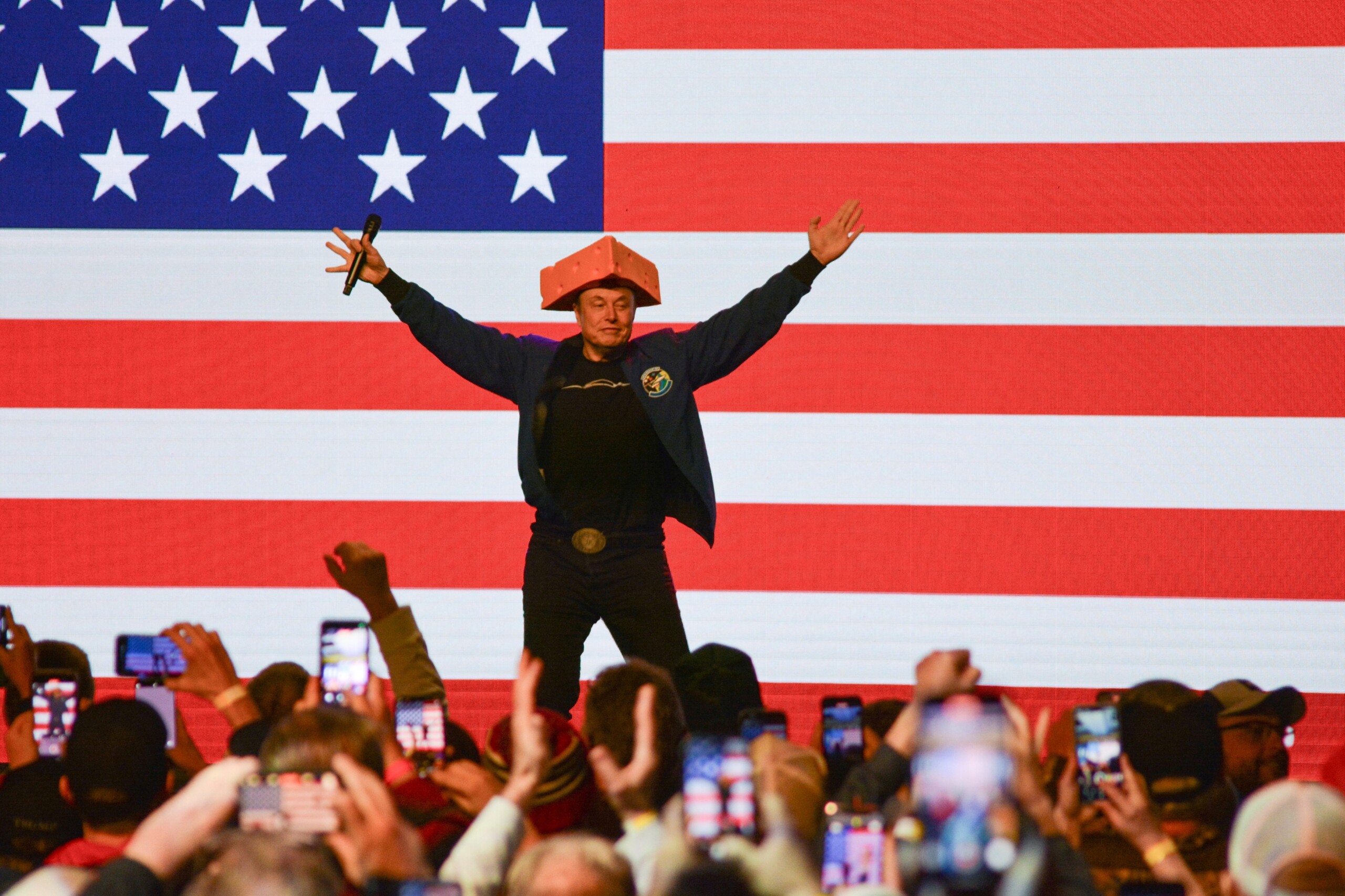 Grokipedia - istina po Ilonu Masku 1 profimedia 0982565021