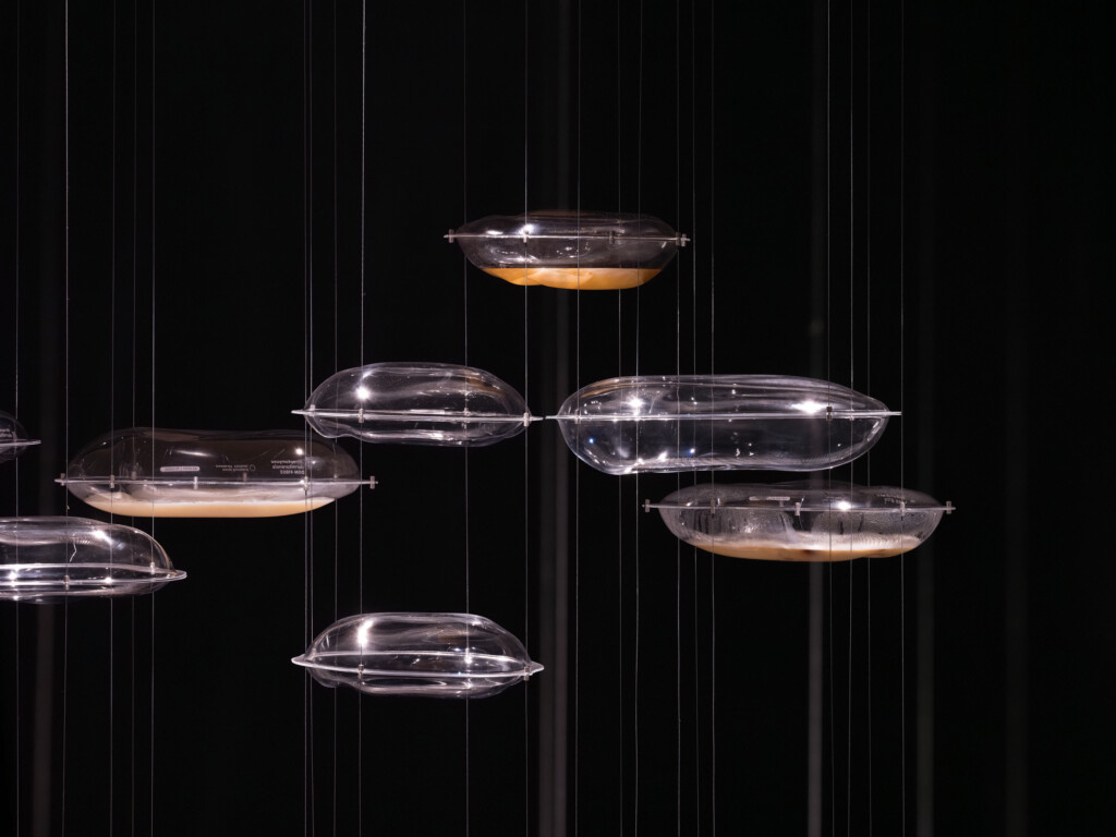Kad mikroorganizmi progovore umesto cementa 2 25 Montenegro Pavilion Biennale di Venezia 2025 ph © Ugo Carmeni