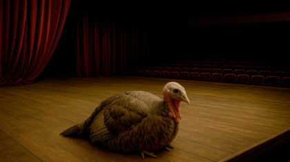 ChatGPT Image May 20 2025 12 49 40 PM