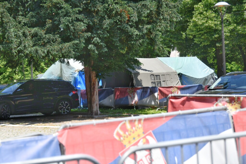 Naše pravo da ne vidimo ništa 2 cacilend Foto vesna lalic nova rs 21