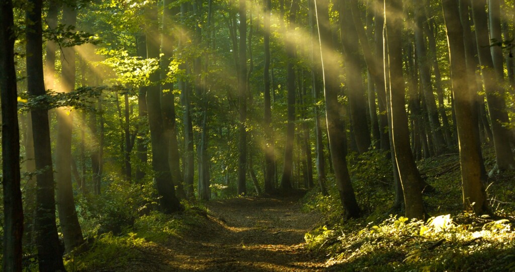 Srbiji prete posledice po životnu sredinu, bezbednost hrane i zdravlje ljudi 9 shutterstock 2523183793