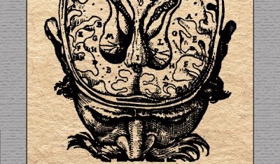 Zivojin Pavlovic Belina sutra Promo