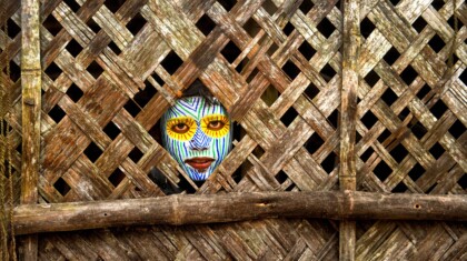 profimedia 1011385364