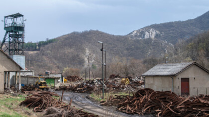 shutterstock 2187010519 copy