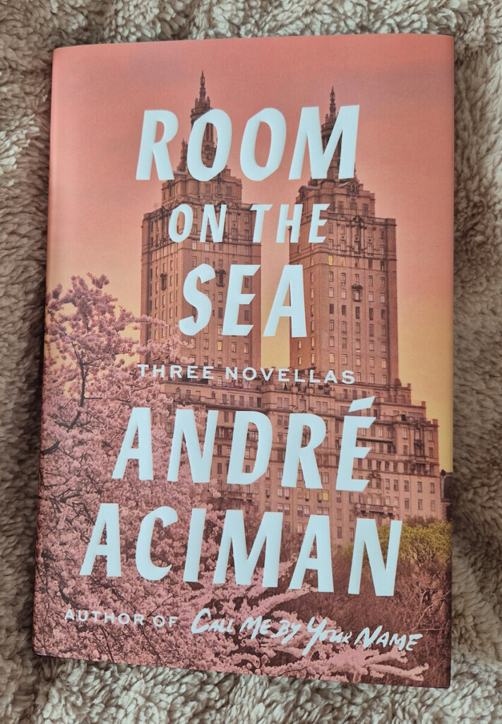 Pišem kako bih izbegao život 2 Asiman Room on the Sea knjiga