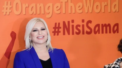 Beta kabinet potpredsednice vlade zoran petrovic