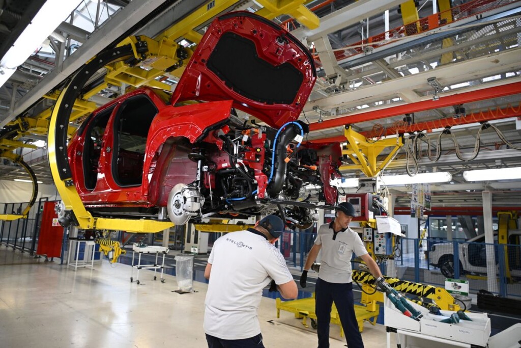 (Ne)realna opasnost od seobe proizvodnje "grande pande" u Afriku 5 gol1383 1200x0 1