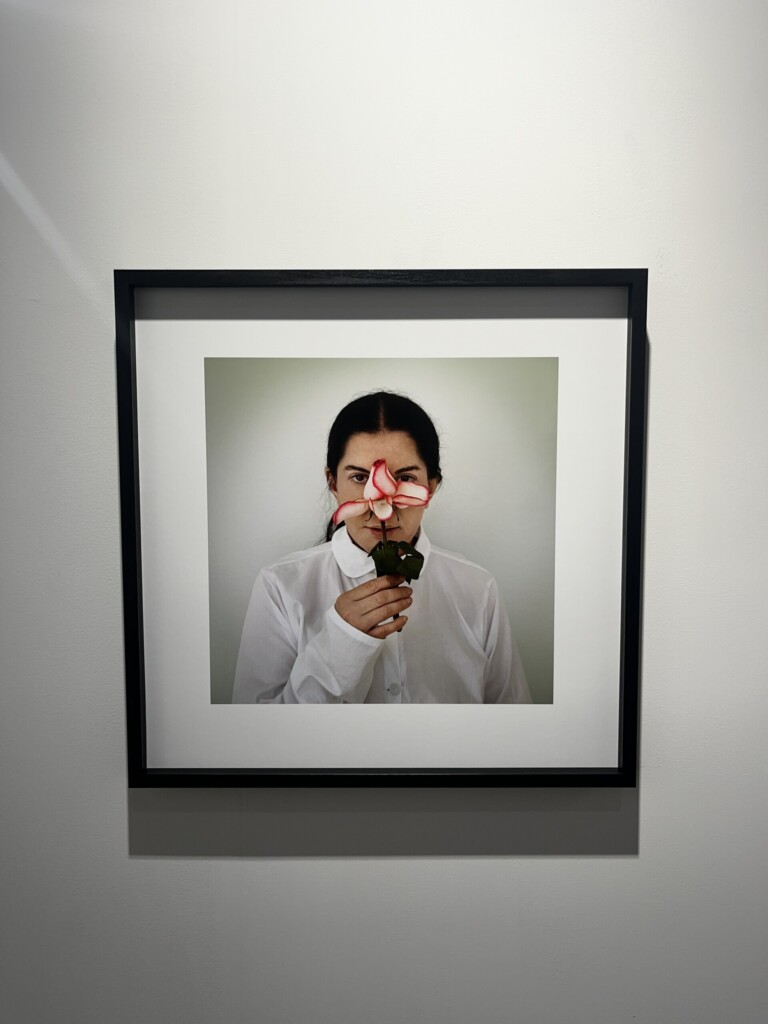 Performans koji menja svet 3 marina abramovic Foto ana marinkovic 2