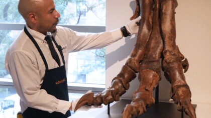 profimedia 1019791480