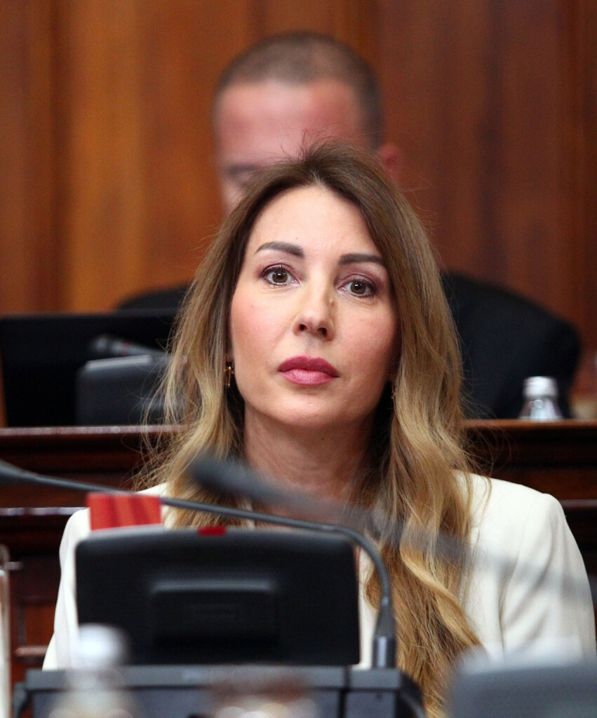 Političko pozicioniranje umesto suštinskih promena u energetici i rudarstvu 4 skupstina sednica 09102024 0014