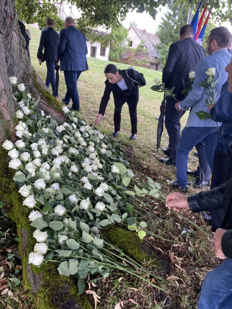Bele ruže na cesti spasa i smrti 7 074699DA 6E79 4E42 A616 BE56EF3DF572 1024x1365 1