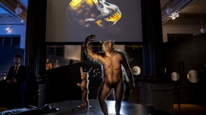 profimedia 1031240186