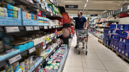 shutterstock 2617358687