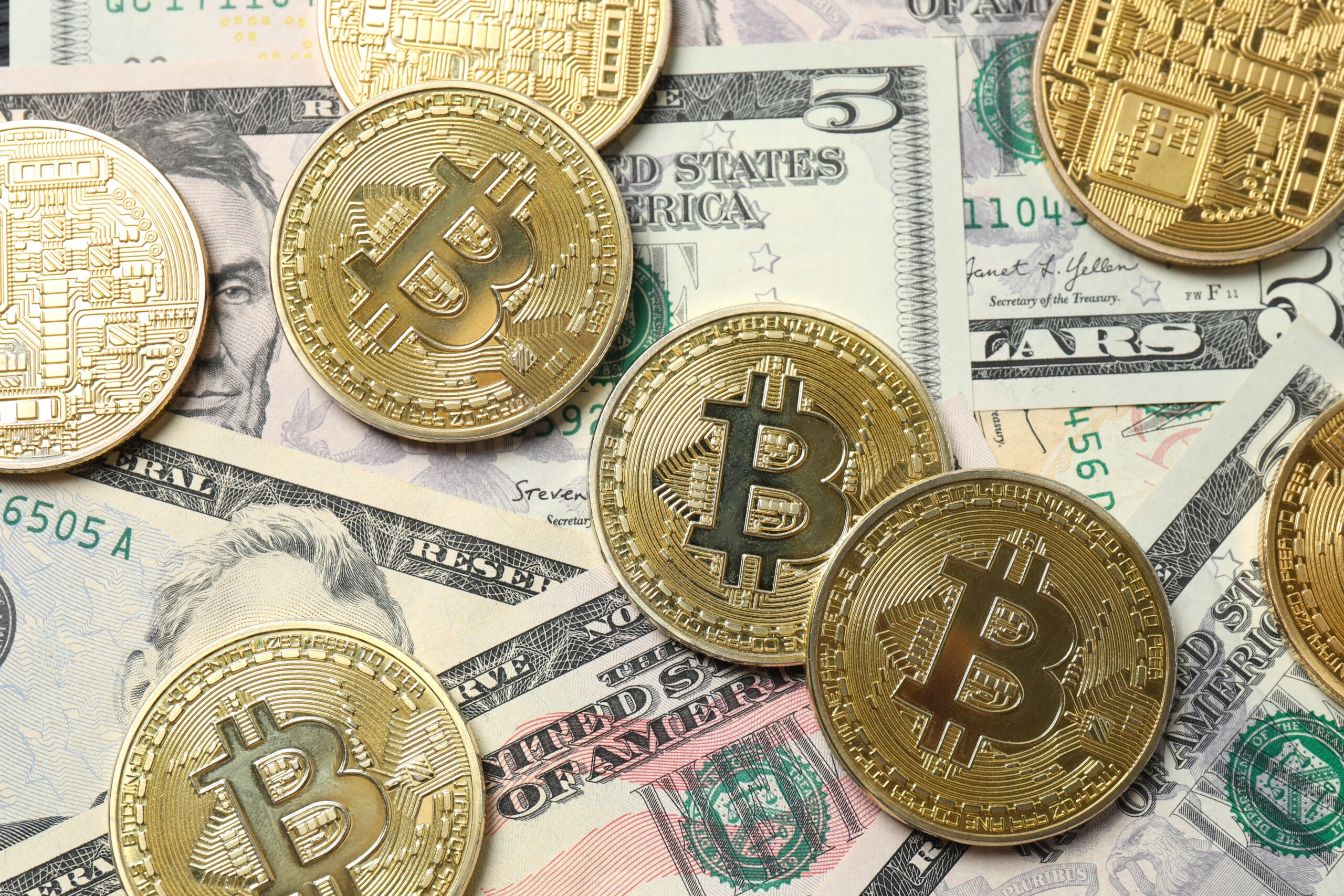 shutterstock 2645454197