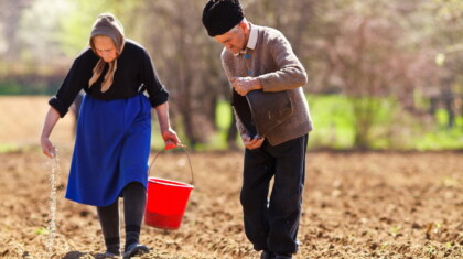 shutterstock 76812211