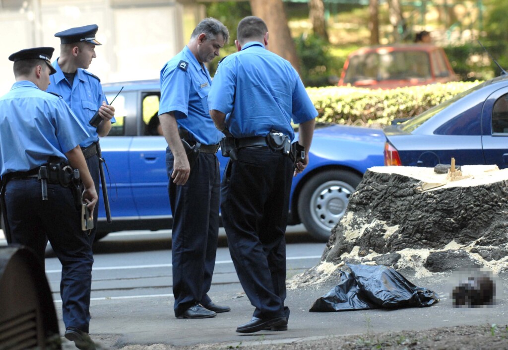 Da li policija i kriminalci mogu biti na istom zadatku 2 20080821 blic vladislav mitic beograd Di001744810
