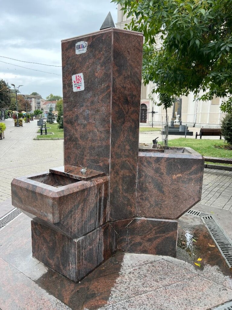 Udruženi Balkan: Da ne budemo oplodno stado za lopovske elite 7 dzamic