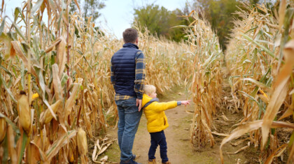 shutterstock 1815297197