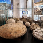 za stubac na otvaranju 3 FOTO Galerija nauke i tehnike SANU