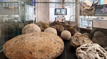 za stubac na otvaranju 3 FOTO Galerija nauke i tehnike SANU