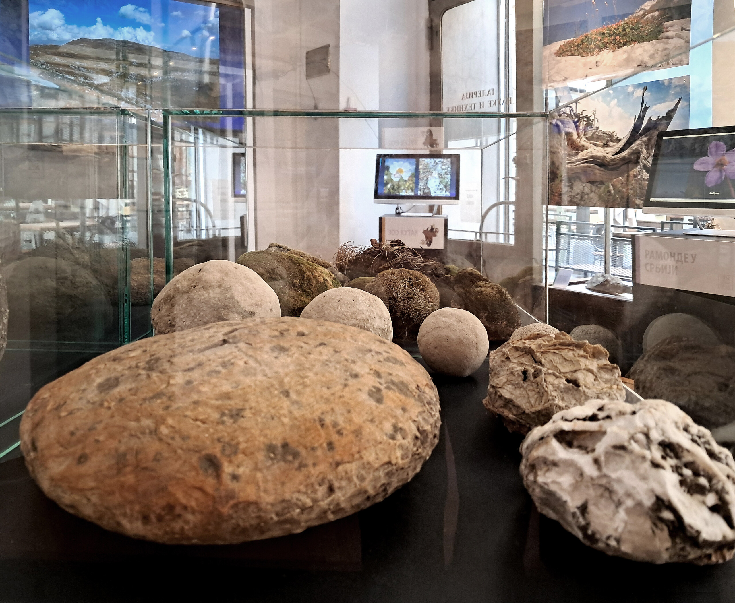 za stubac na otvaranju 3 FOTO Galerija nauke i tehnike SANU