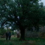 1762344239 Kako je ovde tako zeleno kadar iz filma 2