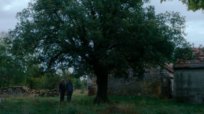 1762344239 Kako je ovde tako zeleno kadar iz filma 2