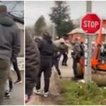 1764517449 mionica zlf kombo