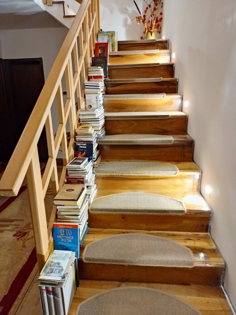 Kada struka postane nevidljiva, institucije su suvišne 4 20251126 093723