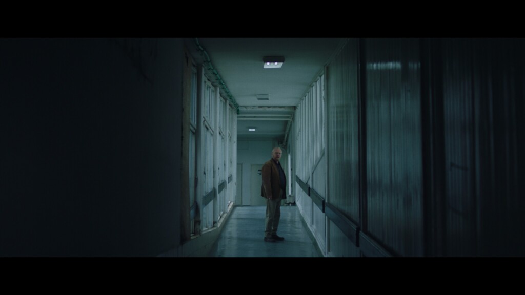 Ovo je priča koja ne može da se izmašta 4 Cats Cry 1