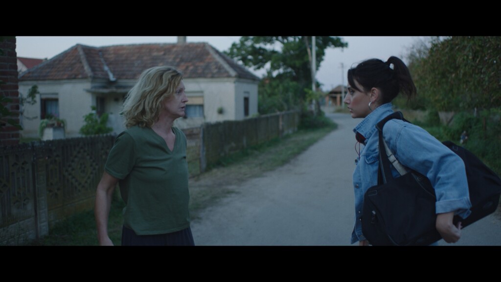 Ovo je priča koja ne može da se izmašta 2 Cats Cry 3