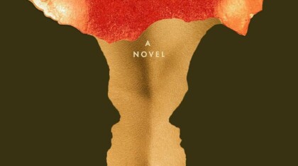 David Szalay Flesh Promo